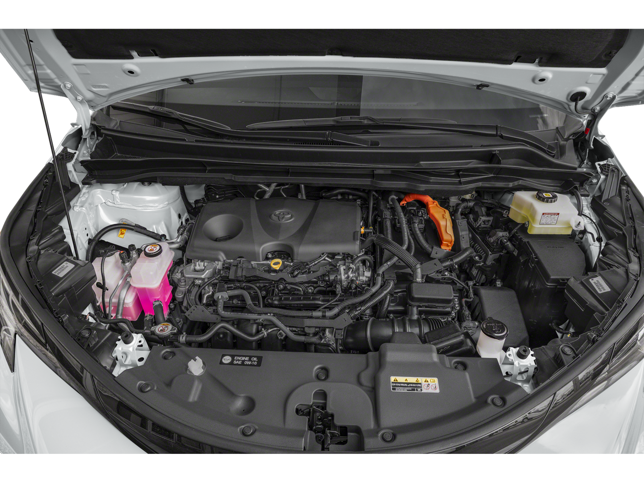 2025 Toyota Sienna Woodland Edition